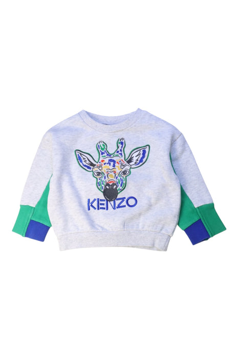 A Multicolour Crewneck Sweatshirts from Kenzo in size 2T for boy. (Front View)