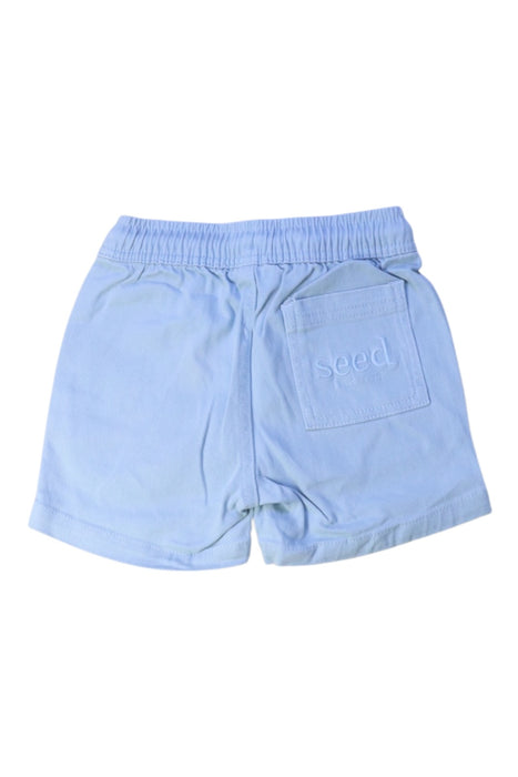 A Blue Shorts from Seed in size 2T for boy. (Back View)