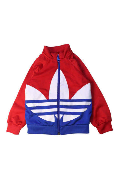 A Red Lightweight Jackets from Adidas in size 12-18M for boy. (Front View)