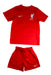 A Red Shorts Sets from Nike in size 5T for neutral. (Front View)