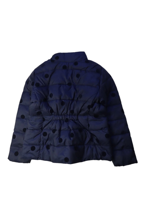 A Navy Puffer/Quilted Coats & Outerwear from Jacadi in size 5T for girl. (Back View)