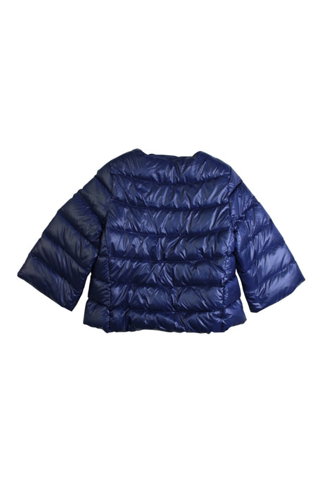 A Navy Puffer/Quilted Jackets from Nicholas & Bears in size 6T for girl. (Back View)