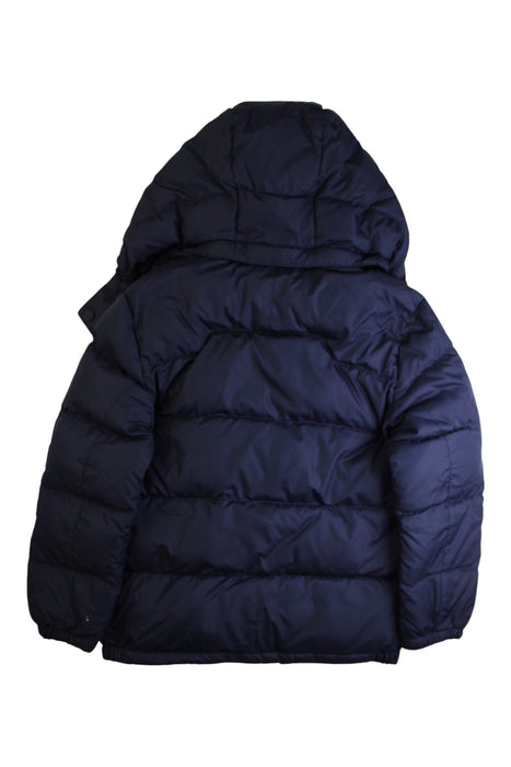 A Navy Puffer/Quilted Coats & Outerwear from Polo Ralph Lauren in size 8Y for neutral. (Back View)