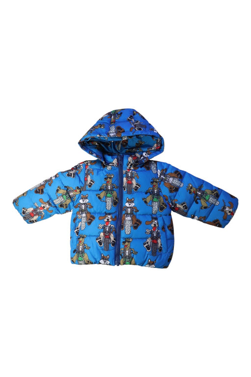A Blue Puffer/Quilted Jackets from Stella McCartney in size 6-12M for boy. (Front View)