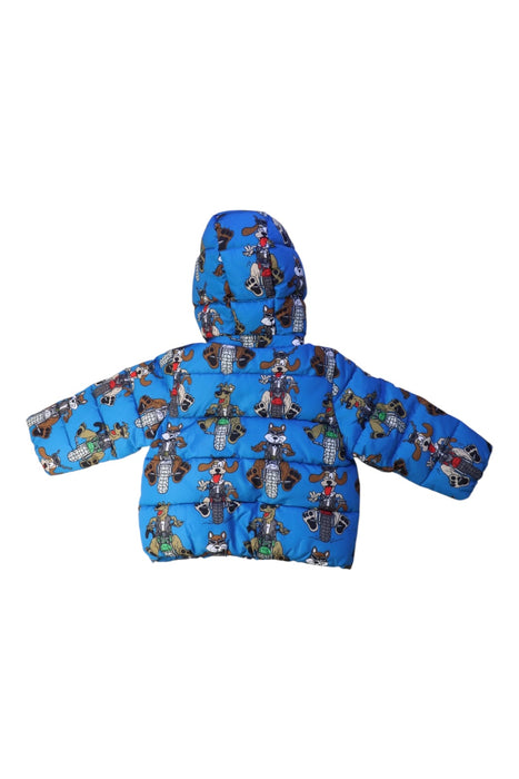 A Blue Puffer/Quilted Jackets from Stella McCartney in size 6-12M for boy. (Back View)