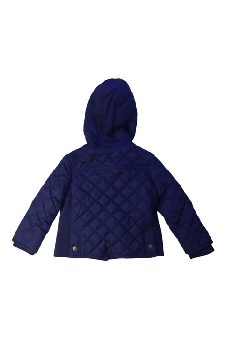 A Navy Puffer/Quilted Jackets from Tommy Hilfiger in size 2T for boy. (Back View)