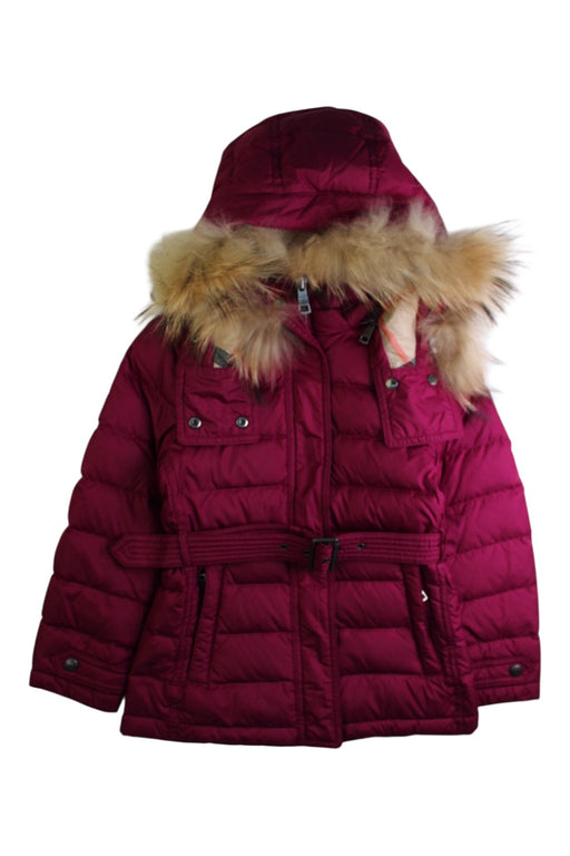 A Burgundy Puffer/Quilted Coats & Outerwear from Burberry in size 6T for girl. (Front View)