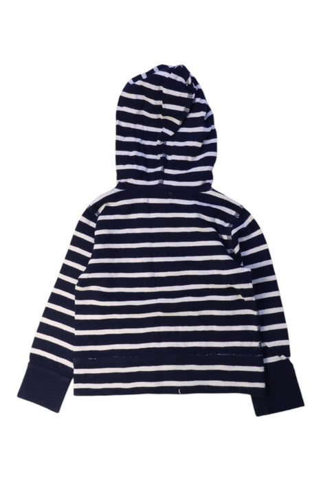 A Navy Hooded Sweatshirts from Crewcuts in size 2T for boy. (Back View)