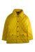 A Yellow Puffer/Quilted Coats & Outerwear from Brooks Brothers in size 10Y for neutral. (Front View)