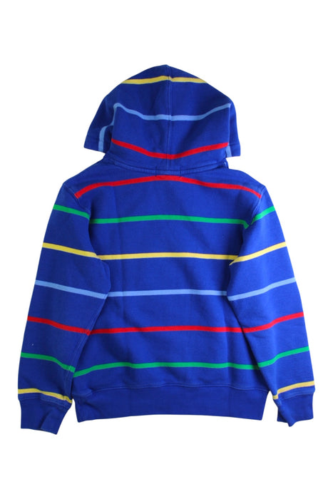 A Multicolour Hooded Sweatshirts from Polo Ralph Lauren in size 10Y for boy. (Back View)