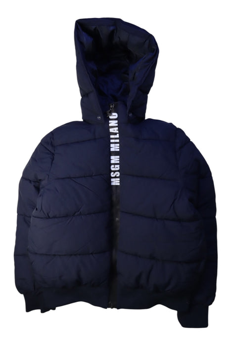 A Navy Puffer/Quilted Jackets from MSGM in size 10Y for neutral. (Front View)