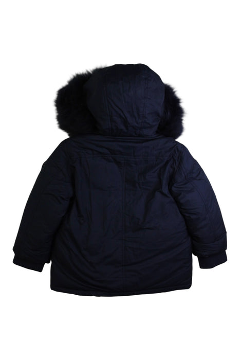 A Navy Coats from Woolrich in size 3T for girl. (Back View)