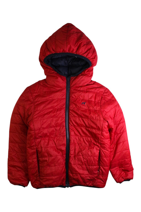 A Navy Puffer/Quilted Coats & Outerwear from Sacoor in size 6T for boy. (Back View)