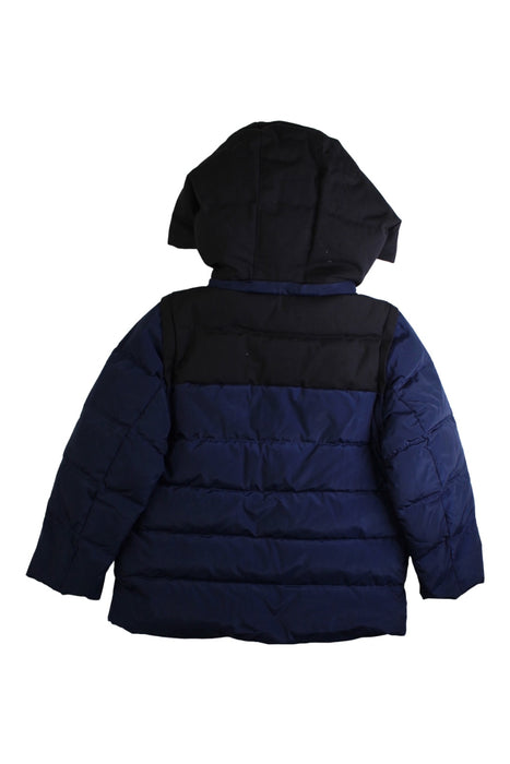 A Blue Puffer/Quilted Jackets from Ferrari in size 5T for boy. (Back View)