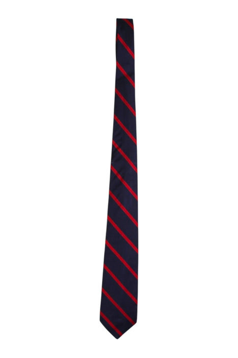A Navy Ties from Polo Ralph Lauren in size 5T for boy. (Front View)