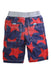 A Multicolour Shorts from Boden in size 4T for boy. (Back View)