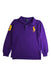 A Purple Long Sleeve Polos from Polo Ralph Lauren in size 6T for boy. (Front View)