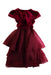 A Burgundy Short Sleeve Dresses from Monsoon in size 9Y for girl. (Back View)