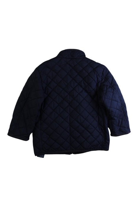 A Navy Puffer/Quilted Jackets from Polo Ralph Lauren in size 3T for boy. (Back View)