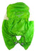 A Green Other Gear from Osprey in size O/S for neutral. (Back View)