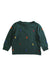 A Multicolour Crewneck Sweatshirts from Ralph Lauren in size 12-18M for boy. (Front View)