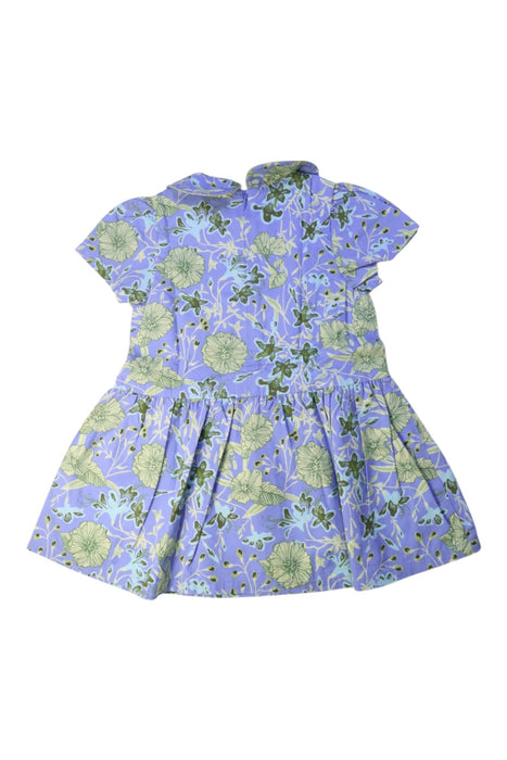 A Blue Short Sleeve Dresses from Jim Thompson in size 4T for girl. (Back View)