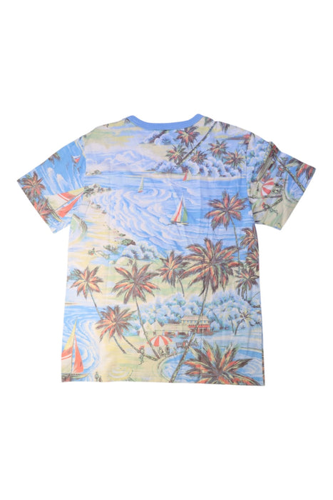 A Multicolour Short Sleeve T Shirts from Polo Ralph Lauren in size 10Y for neutral. (Back View)