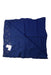 A Blue Blankets from Aden & Anais in size O/S for neutral. (Back View)