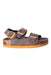 A Grey Sandals from Colors of California in size 12-18M for neutral. (Front View)