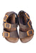 A Grey Sandals from Colors of California in size 12-18M for neutral. (Back View)