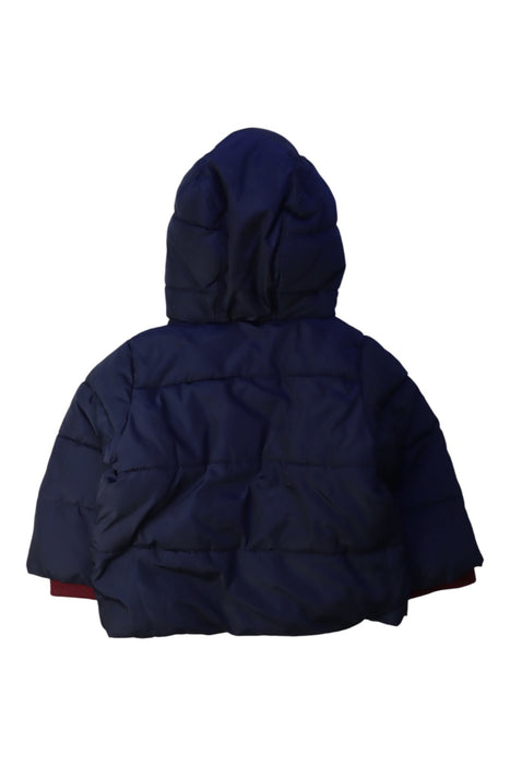 A Navy Puffer/Quilted Coats & Outerwear from Jacadi in size 12-18M for boy. (Back View)