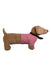 A Beige Soft Toys from Annabel Trends in size O/S for neutral. (Front View)
