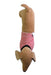 A Beige Soft Toys from Annabel Trends in size O/S for neutral. (Back View)