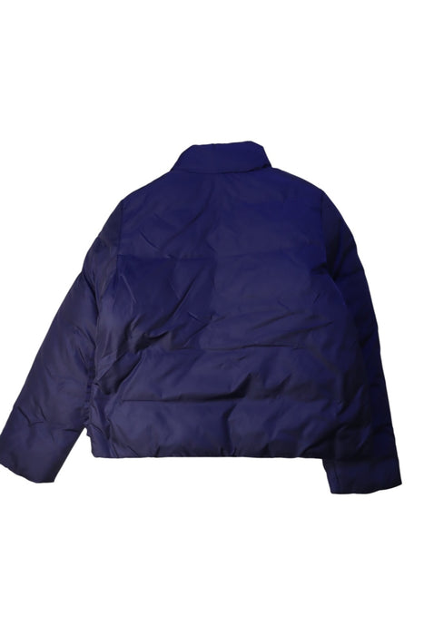 A Navy Puffer/Quilted Coats & Outerwear from Jacadi in size 8Y for girl. (Back View)