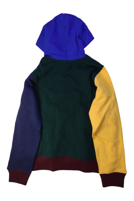 A Multicolour Hooded Sweatshirts from Polo Ralph Lauren in size 14Y for boy. (Back View)