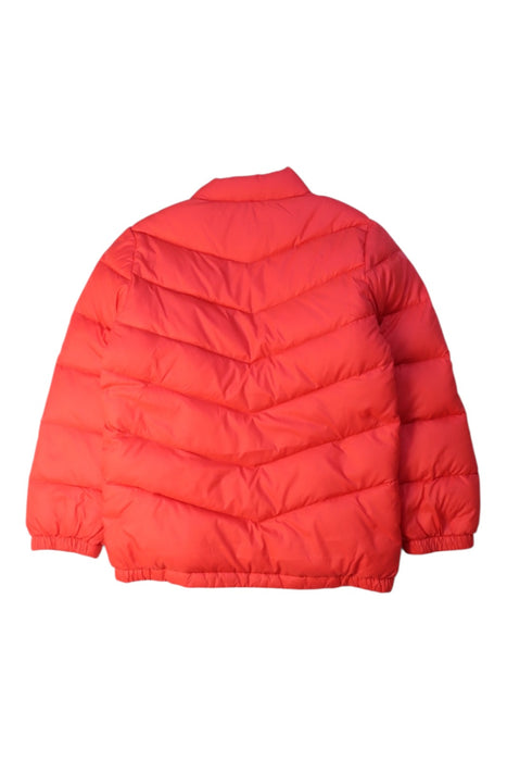 A Red Puffer/Quilted Jackets from Kingkow in size 4T for boy. (Back View)