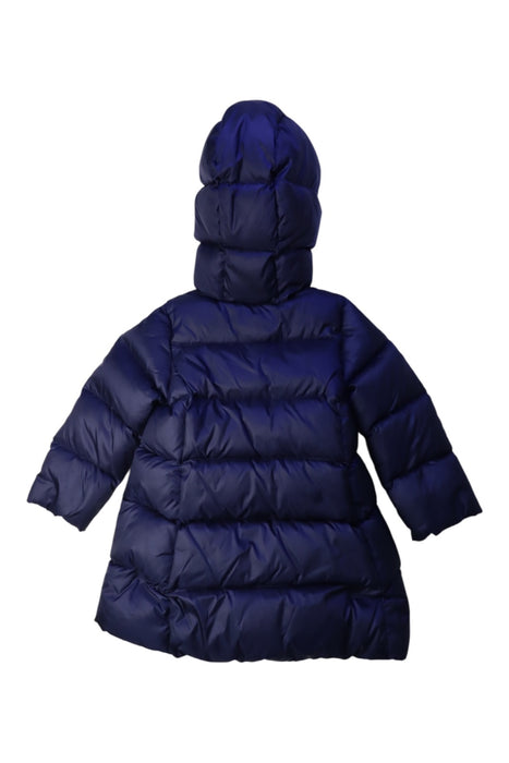 A Navy Puffer/Quilted Coats & Outerwear from Polo Ralph Lauren in size 2T for girl. (Back View)