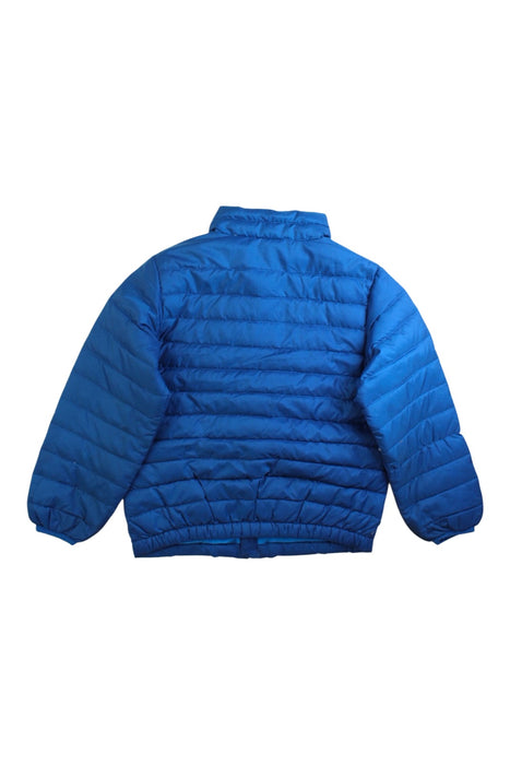 A Blue Puffer/Quilted Jackets from Patagonia in size 5T for boy. (Back View)