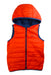 A Blue Outerwear Vests from Boss in size 8Y for boy. (Back View)