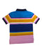 A Multicolour Short Sleeve Polos from Polo Ralph Lauren in size 5T for boy. (Back View)