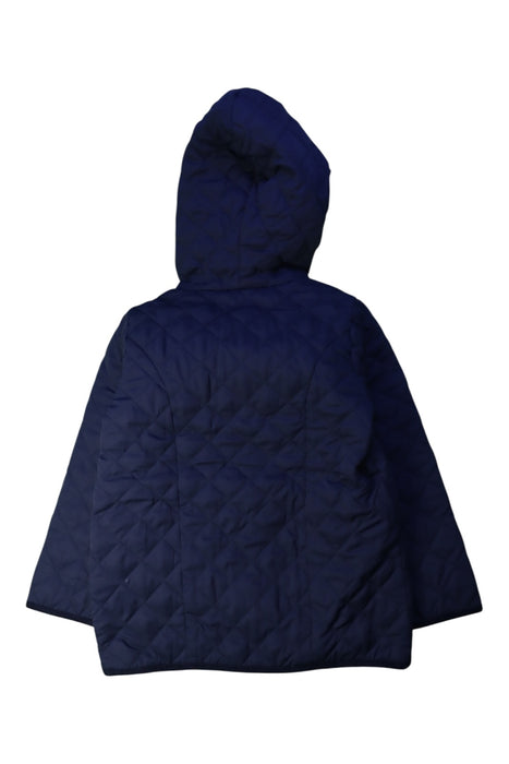 A Navy Puffer/Quilted Coats & Outerwear from Jojo Maman Bébé in size 4T for girl. (Back View)