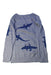 A Grey Knit Sweaters from Seed in size 6T for boy. (Back View)