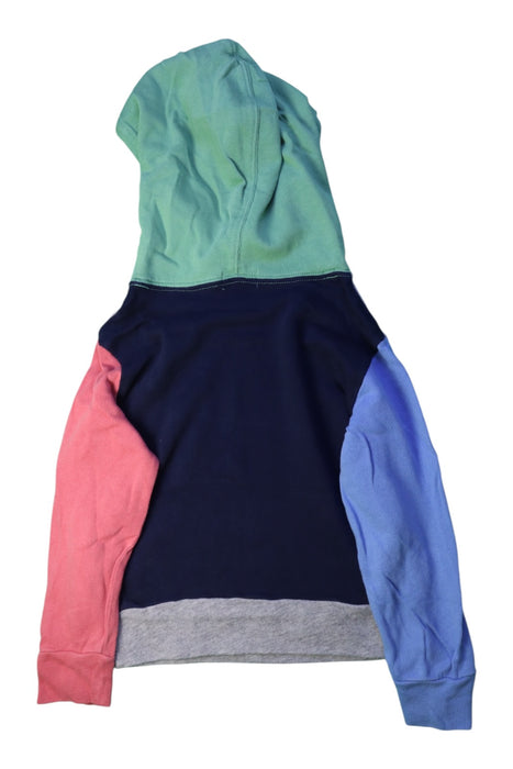 A Multicolour Hooded Sweatshirts from Polo Ralph Lauren in size 4T for boy. (Back View)