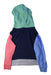 A Multicolour Hooded Sweatshirts from Polo Ralph Lauren in size 4T for boy. (Back View)
