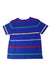 A Multicolour Short Sleeve T Shirts from Polo Ralph Lauren in size 5T for boy. (Back View)