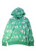 A Green Hooded Sweatshirts from Polo Ralph Lauren in size 10Y for boy. (Front View)
