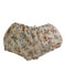 A Multicolour Shorts from Caramel in size 8Y for girl. (Back View)
