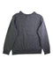 A Grey Crewneck Sweatshirts from Polo Ralph Lauren in size 10Y for boy. (Back View)