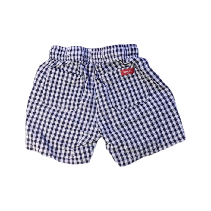 A Blue Shorts from Seed in size 2T for girl. (Back View)