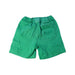A Green Shorts from Seed in size 2T for boy. (Back View)